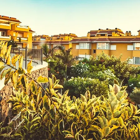 Appartamento Cozy In Playa De La Arena Puerto de Santiago (Tenerife)
